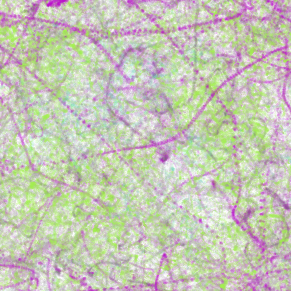 Risoflora particular #12