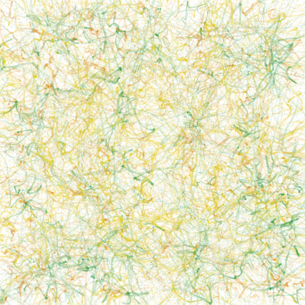 Risoflora particular #13